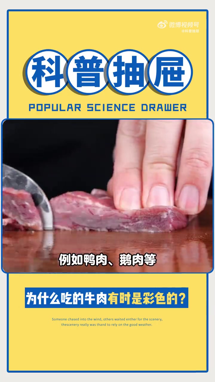 为什么吃的牛肉有时是彩色的?肌肉组织的排列是有纹路可循的,当逆着肉的纹理切片时,肌纤维被切