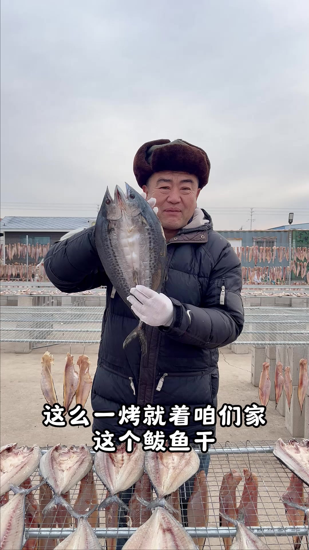 老海家的一卤鲜鲅鱼干晒好了