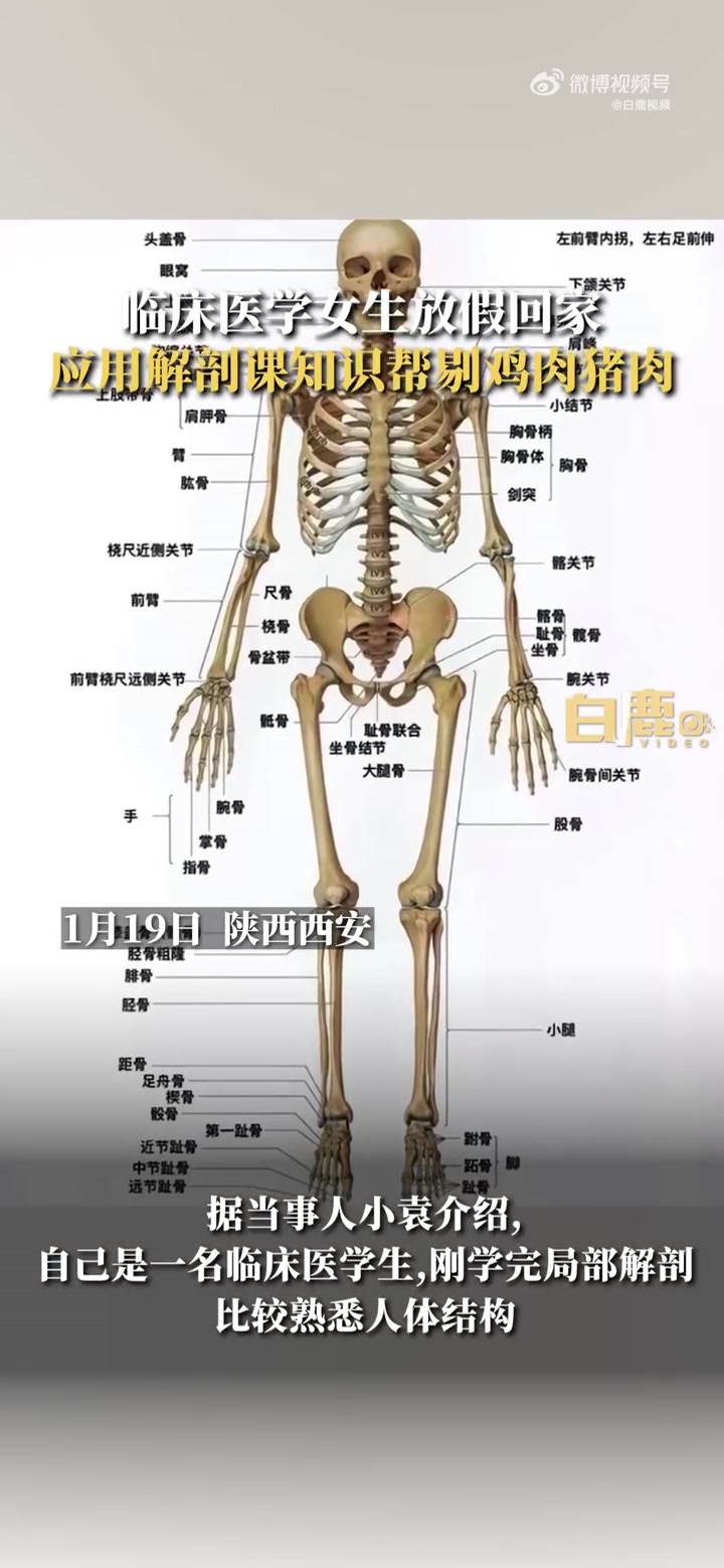「学以致用!医学生放假回家用解剖知识帮剔肉「笑哭」」1月19日,陕西西安。临床医学女生放假