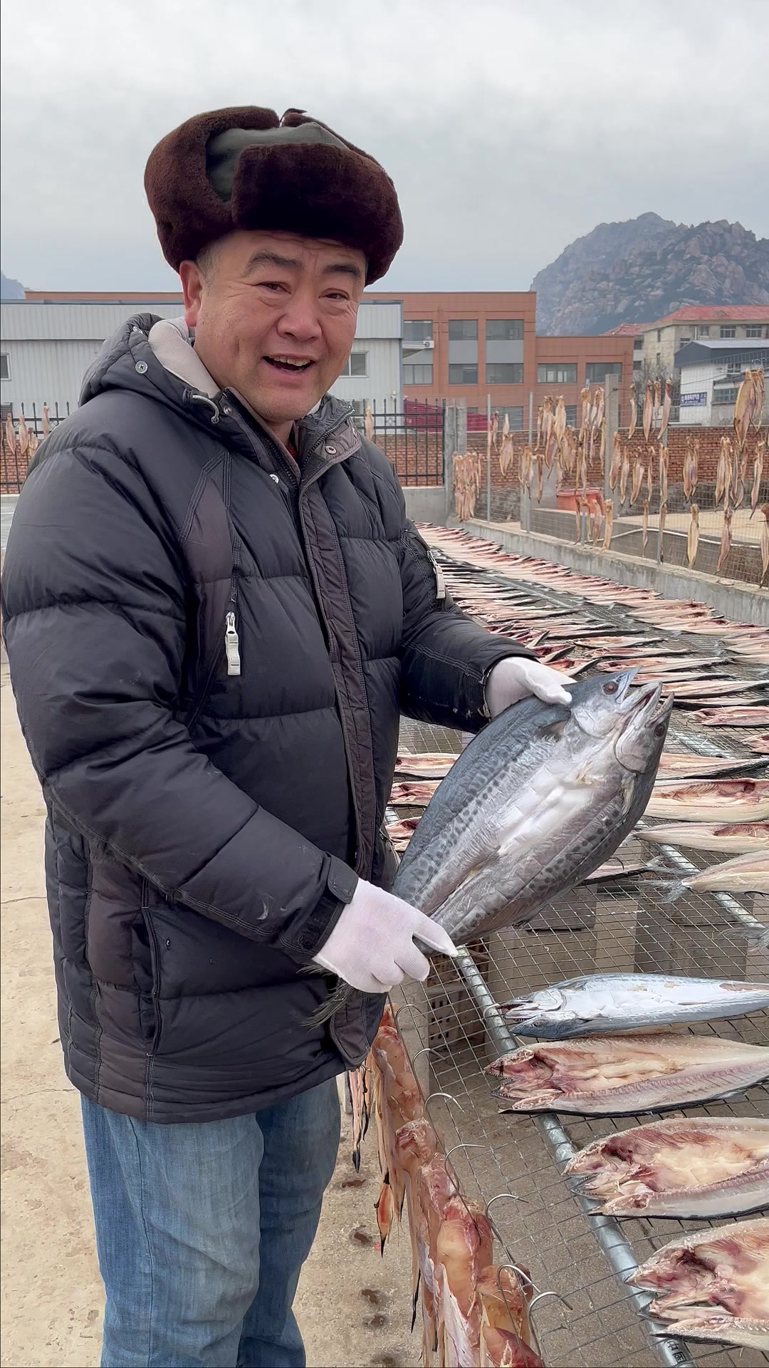 老海家晾晒的一卤鲜鲅鱼干有好几个品种