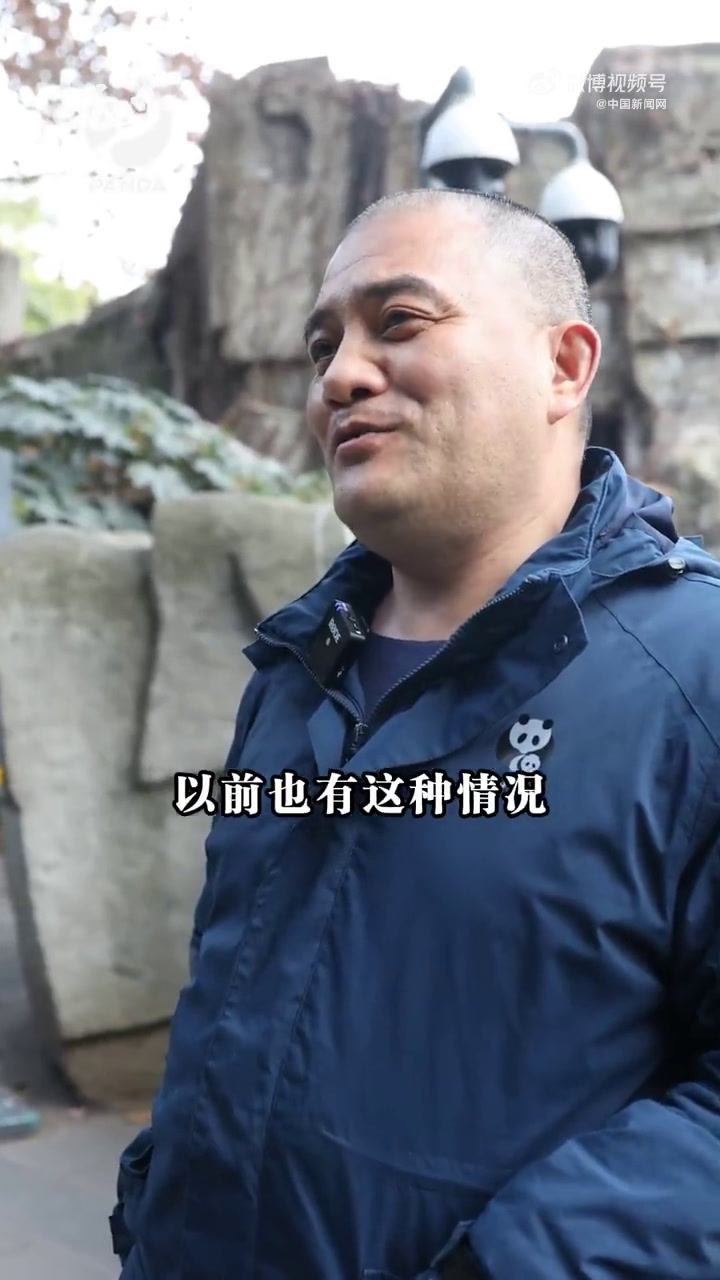 「啊?和叶和花居然是姐妹!」据成都大熊猫繁育研究基地24日消息,大熊猫和叶居然是“女孩”!
