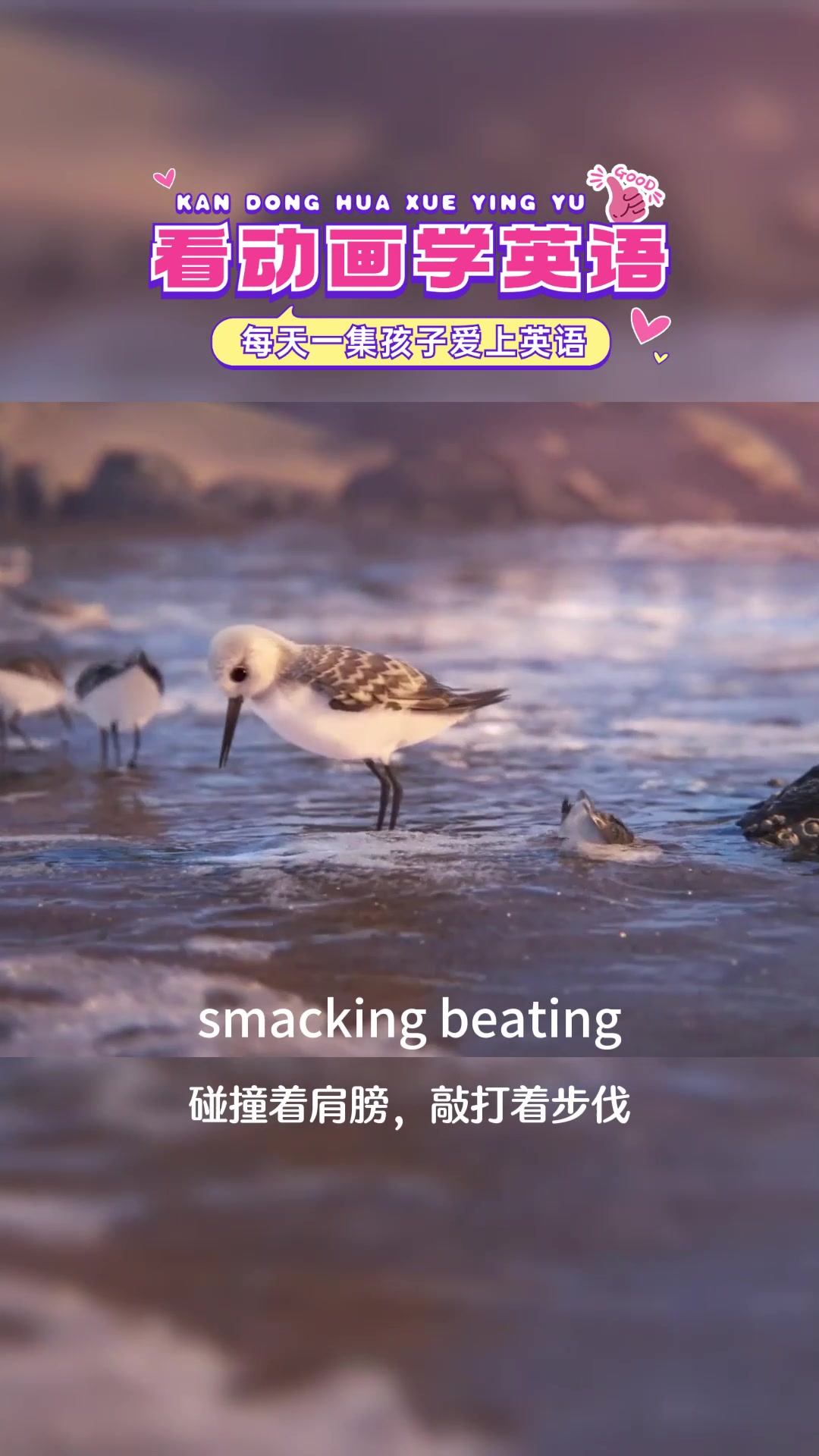 兔子舞 Penguin's game 英文儿歌一起唱起来