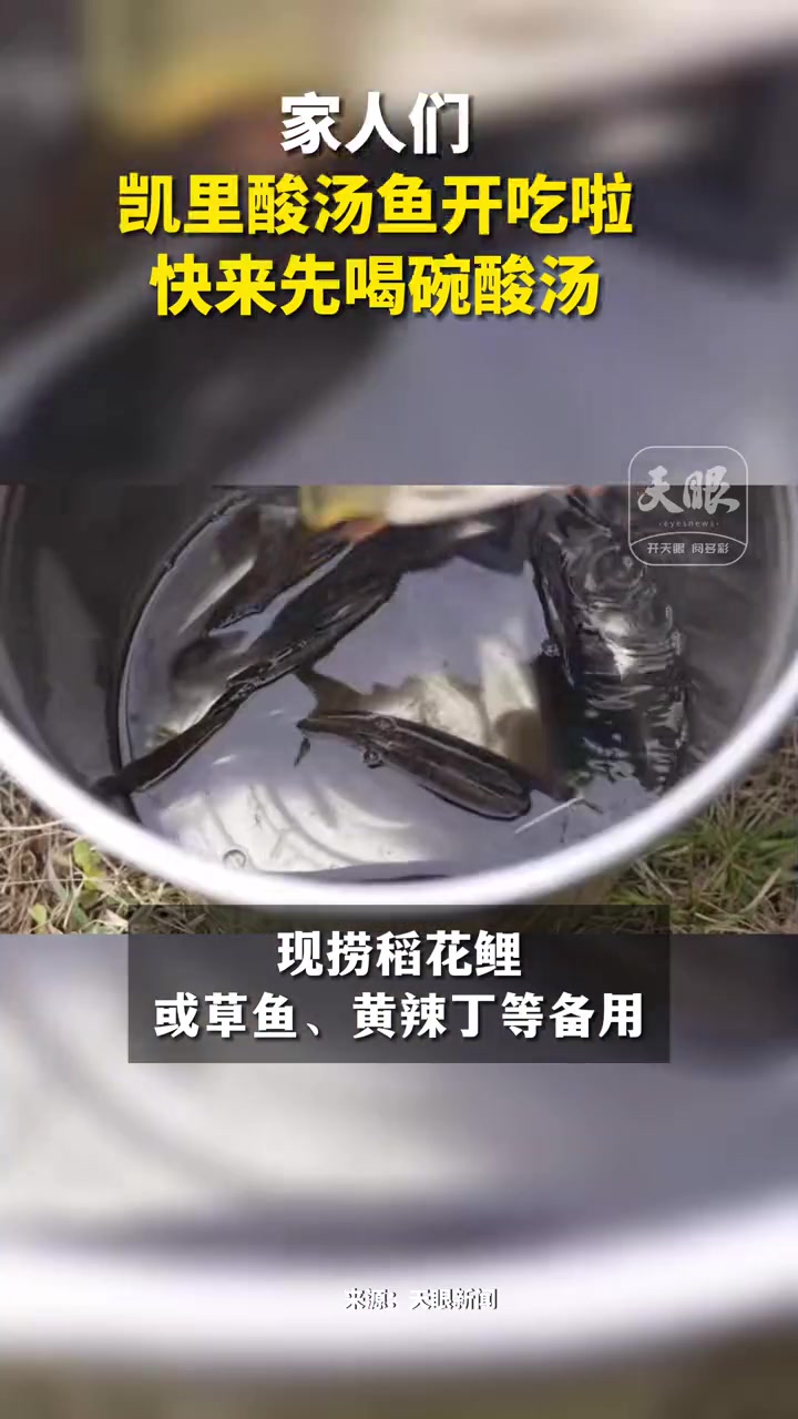 家人们!凯里酸汤鱼开吃啦 快来先喝碗酸汤(记者:钱仕豪 制作:莫欣欣)贵州美食 贵州美好推