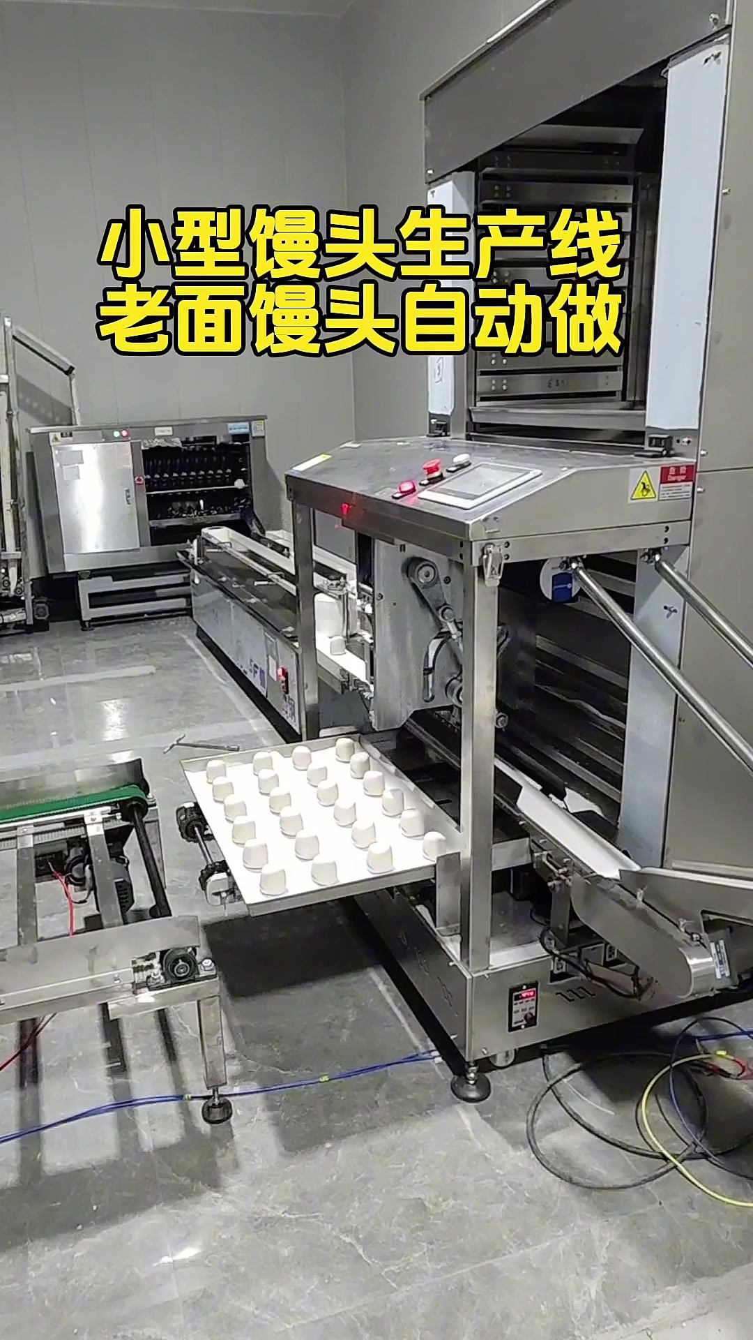小型馒头生产线,做馒头不用人#馒头机 #馒头生产线 #老面千层馒