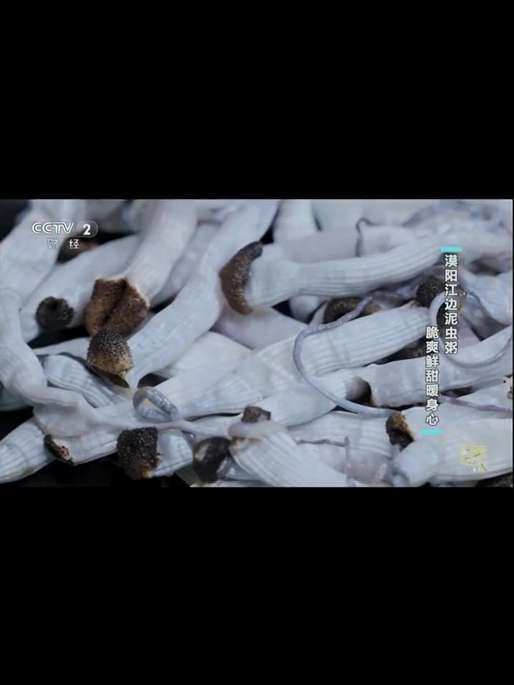 阳江美食登上央视!漠阳江边泥虫粥,脆爽鲜甜暖身心 美食 泥虫粥 阳江