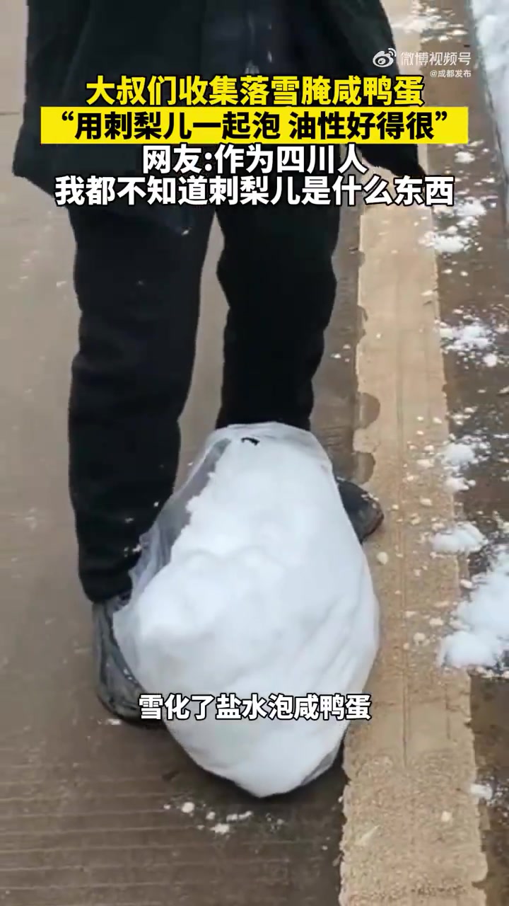 「雪停了!成都大叔开始收集落雪做咸鸭蛋了」近日,有网友看到一群成都大叔用口袋收集还未化的落