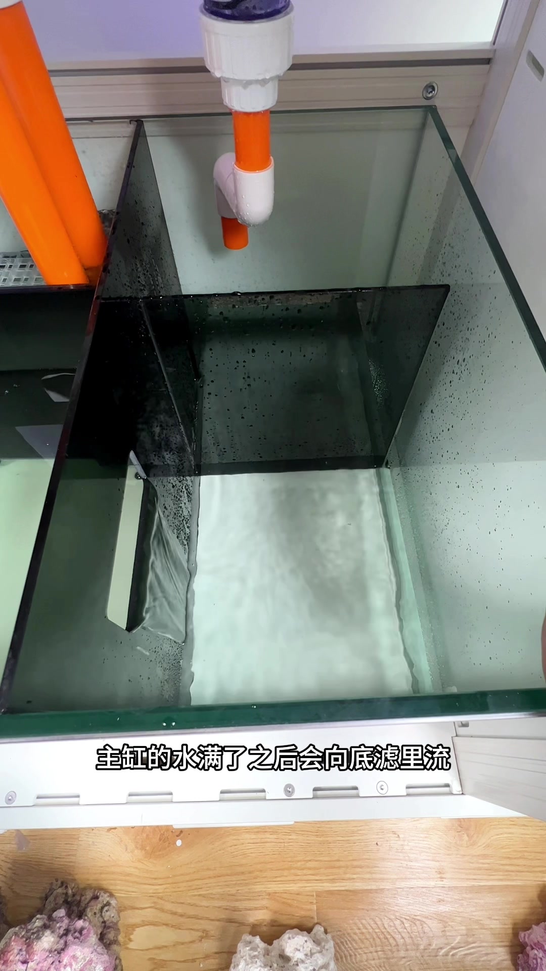 底滤鱼缸应该加多少水