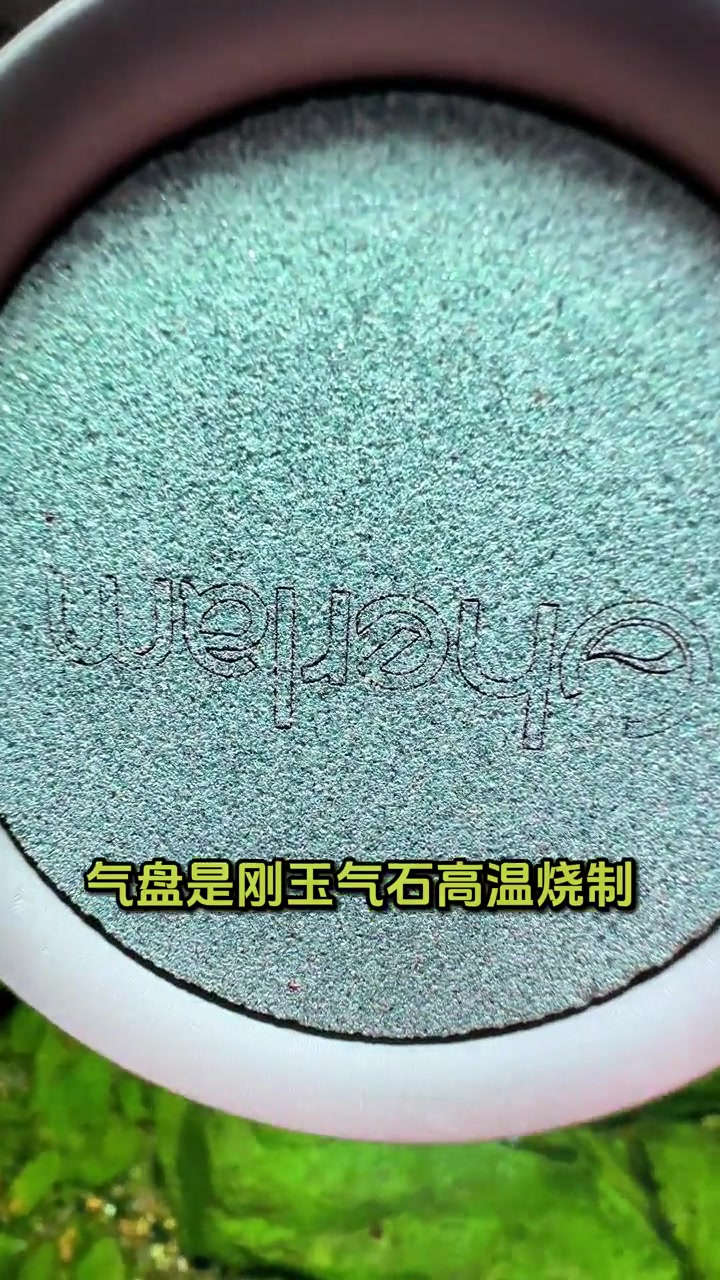 在不换氧气泵的情况下!如何增加鱼缸溶氧量?这就看气盘石的做工啦!鱼缸里的大自然 鱼缸打氧 