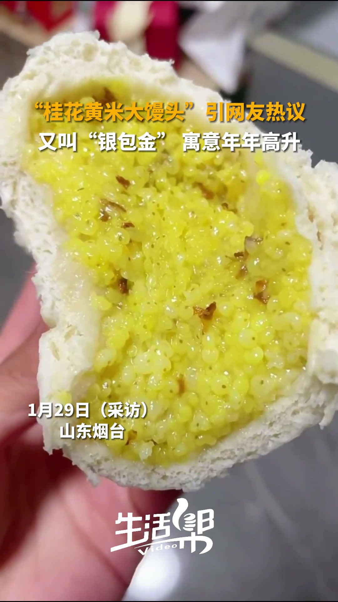 山东又一道春节美食!1月29日(采访时间),“桂花黄米大馒头”引发网友热议。原来它叫“银包