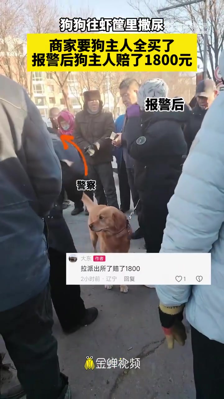 「狗子早市虾筐撒尿主人赔了1800」近日,辽宁一主人牵着狗子逛早市。一不留神,狗子朝摊位上