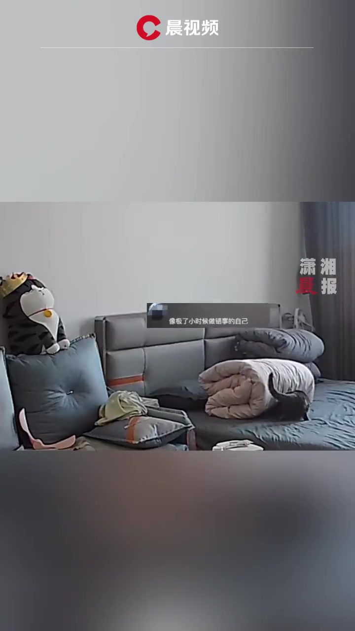 「十斤的猫九斤的责任心!猫猫弄倒被子后竟试图往回推,网友:这猫家教挺严啊「喵喵」」1月25