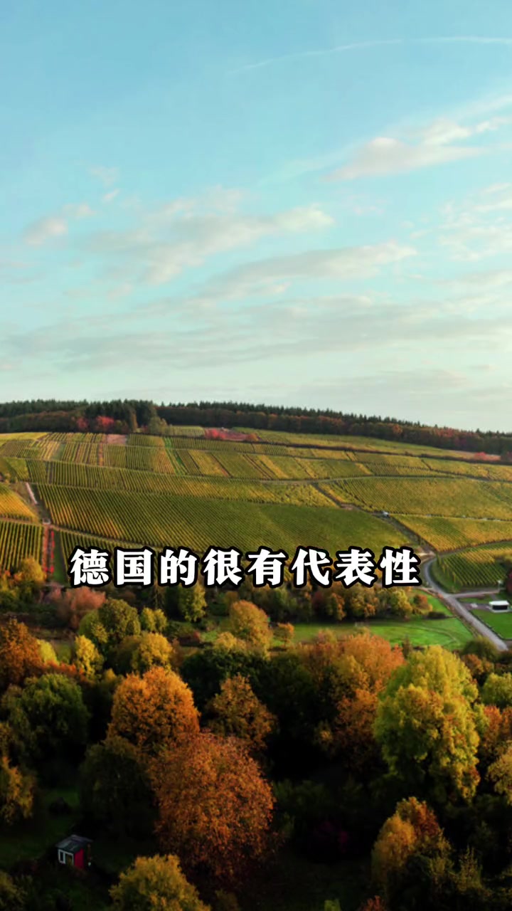 白葡萄酒怎么喝?葡萄酒 好酒推荐 性价比高的红酒推荐 好喝不贵 适合春节喝的酒有哪些