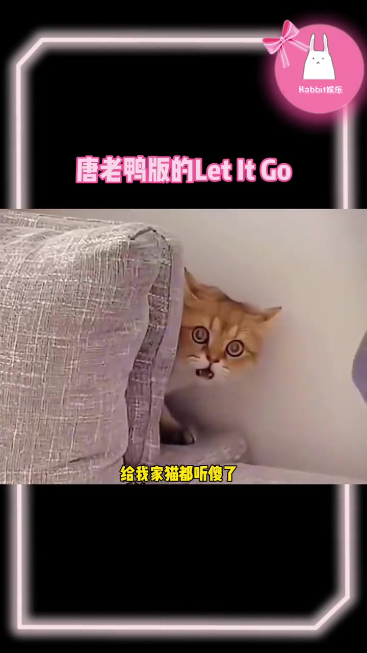 唐老鸭版的Let It Go,挺费嗓门啊
