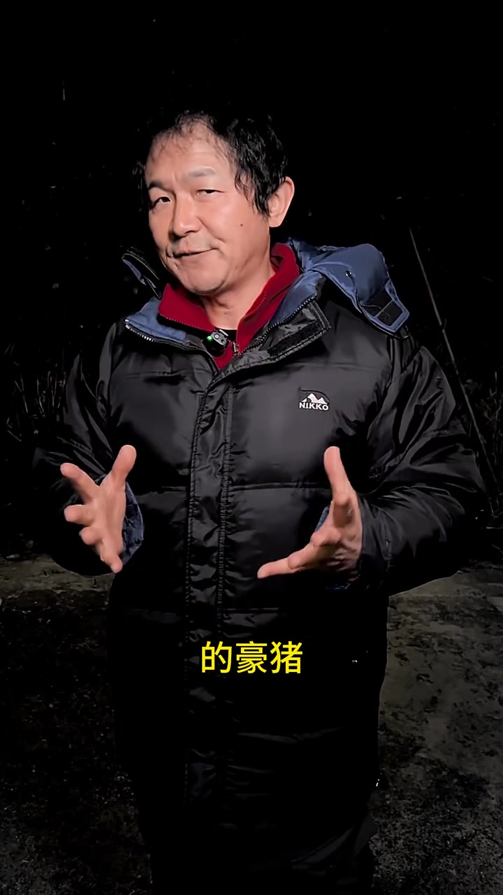 最被低估的小小豪猪究竟拿捏了多少食肉动物?