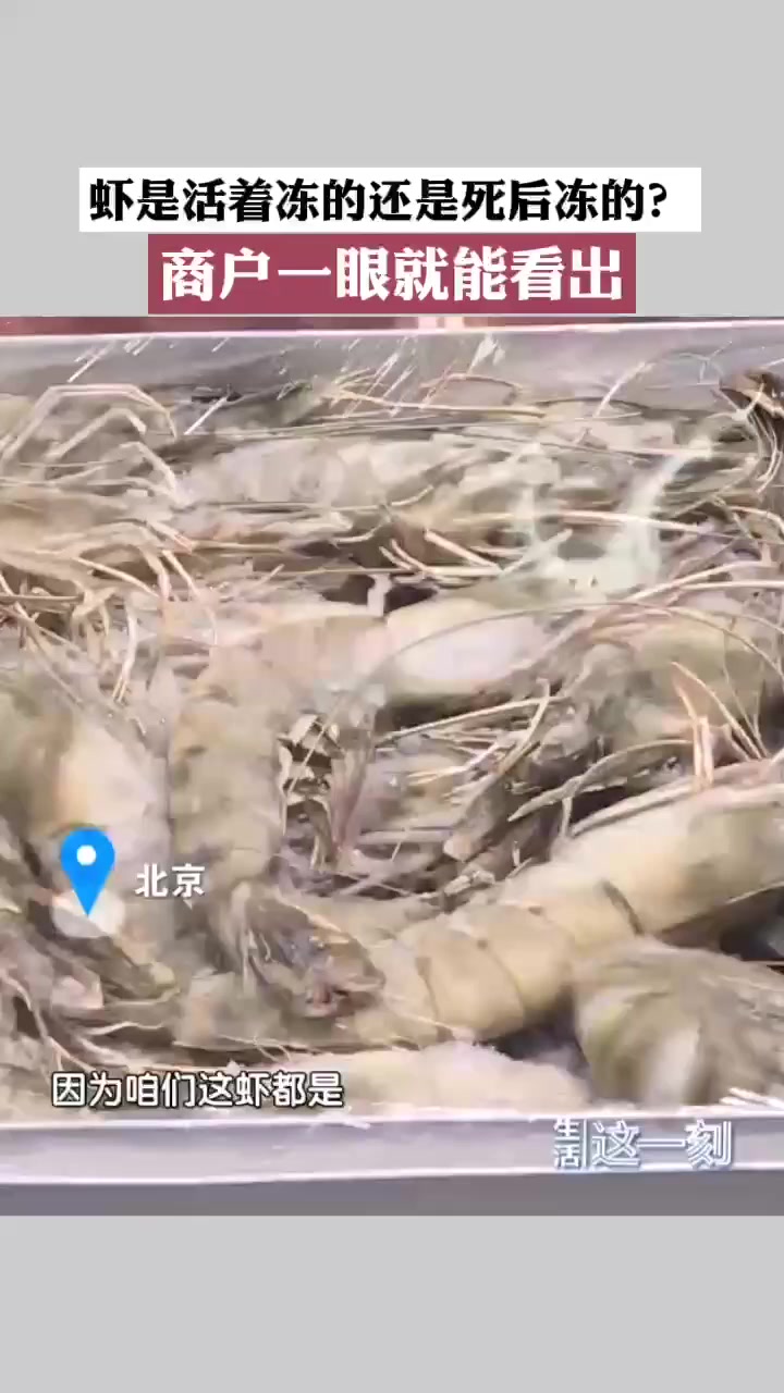 虾是活着冻还是死后冻的?商户一眼就能看出