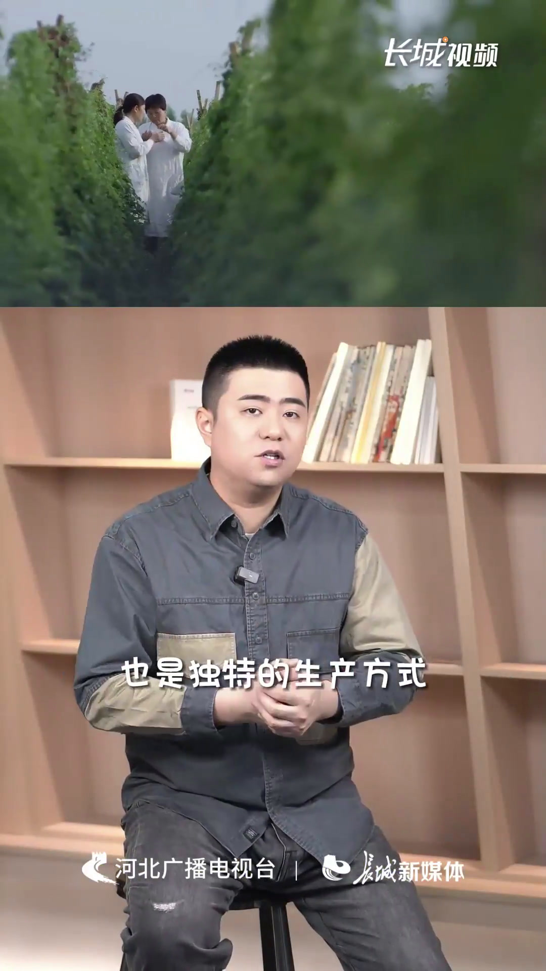 黄骅旱碱麦国家地理标志商标获国家知识产权局受理