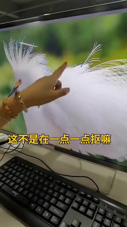 视频中:购物车买PS书送教程+PS软件 小鸡毛发怎么抠?别再用钢笔啦,赶紧学习这招!喜欢的