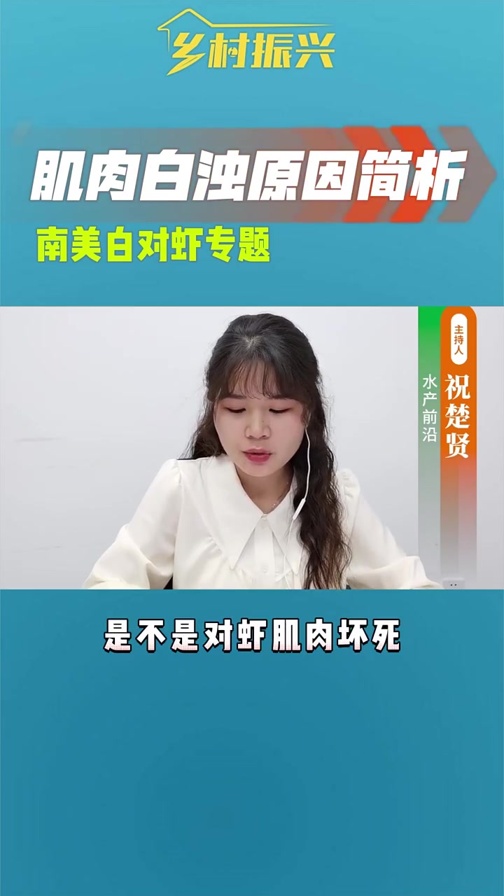 近几年对虾肌肉白浊现象高发,常见原因简要辨析!