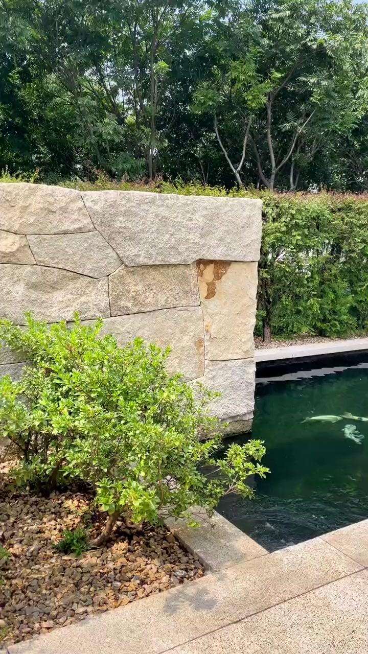 煦瑞生态水带你看一个特别的庭院鱼池!庭院鱼池 鱼池过滤 鱼池净化 鱼池设计 鱼池施工
