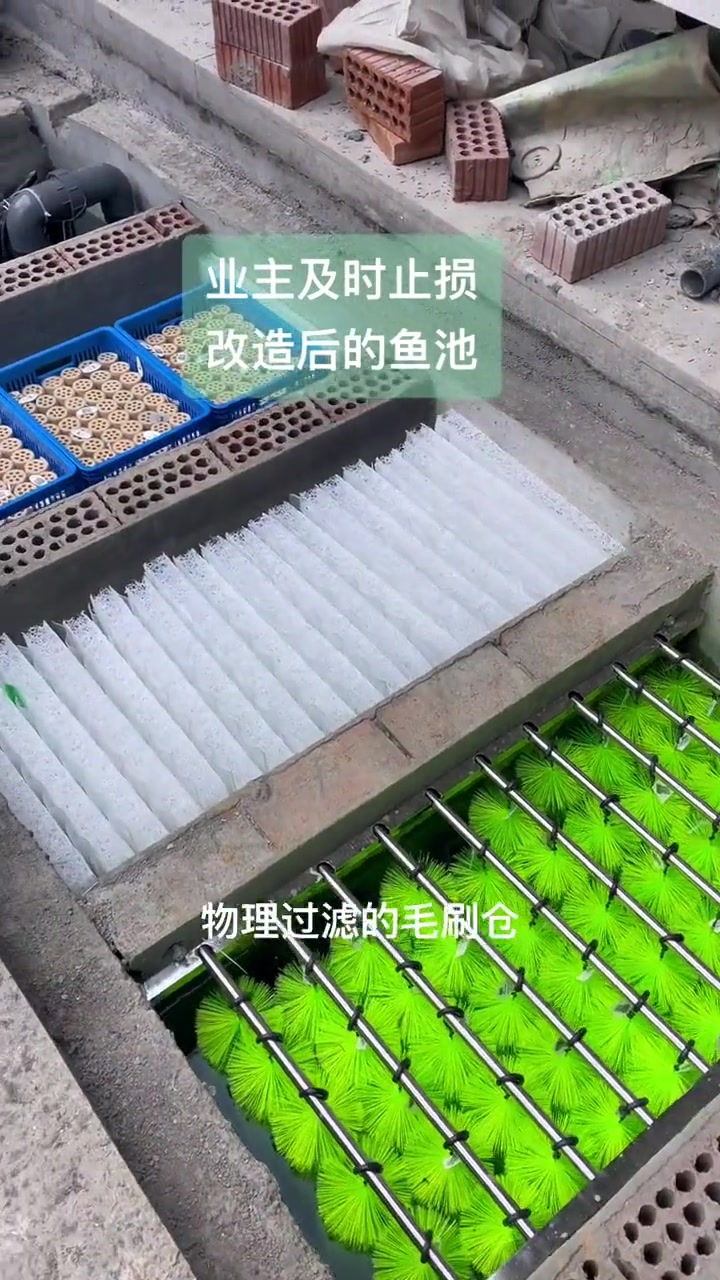 业主及时止损,改造后的锦鲤鱼池。庭院鱼池 鱼池净化 鱼池过滤 鱼池假山 鱼池施工