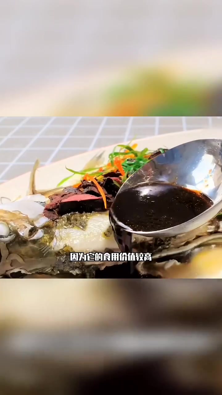 广东一矿坑惊现大量“泰国鲮鱼”,珠江已被入侵,这是怎么回事呢?