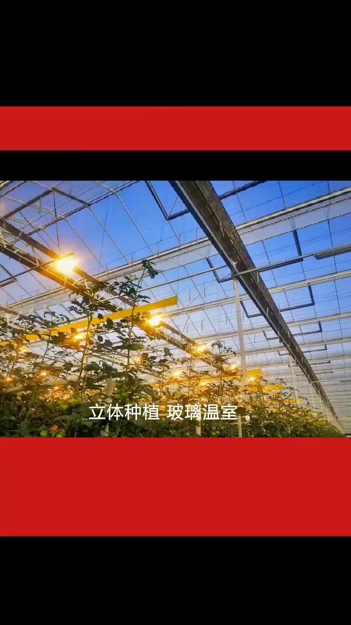 立体种植 玻璃温室 价格优惠 立体种植 多年经验