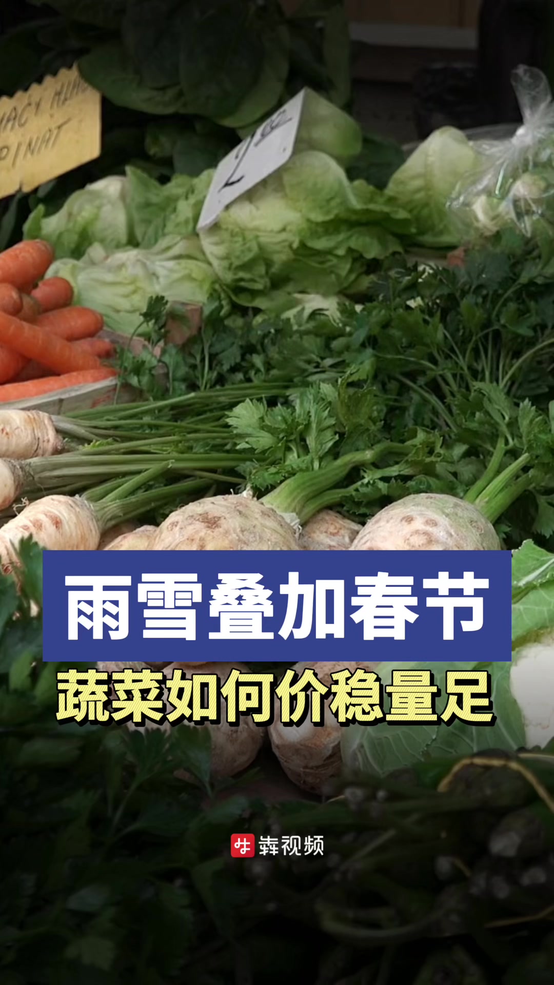 过年啦|节前遇大雪,长沙蔬菜价格稳定