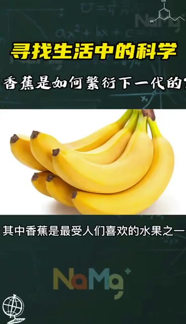 香蕉是如何繁衍下一代的?