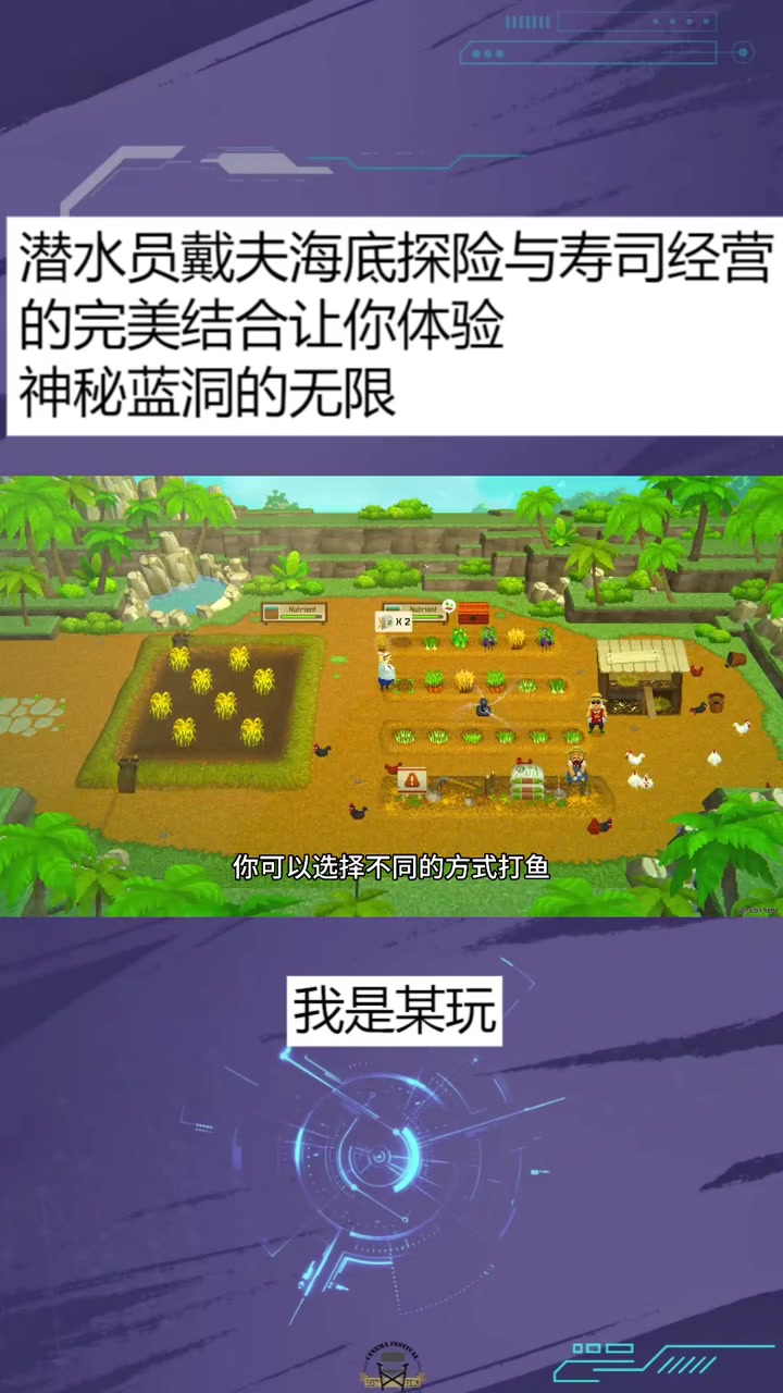 潜水员戴夫海底探险与寿司经营的完美结合让你体验神秘蓝洞的无限 游戏解说 塞尔达荒野之息