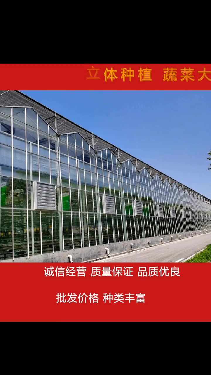 立体种植 蔬菜大棚连栋温室 多年经验 专业厂家
