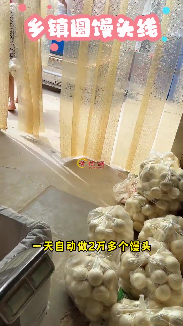 馒头生产线 馒头机 小本创业好项目 就在家开个千层馒头店 蒸馒头设备