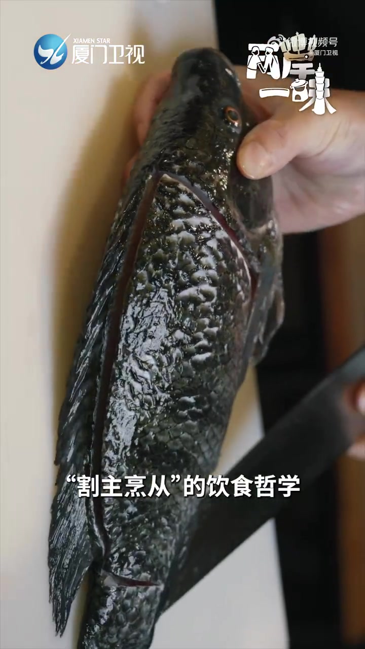 「美食纪录片两岸一味 有鱼生有人生丨苗栗“龙之坊”鱼生」台湾苗栗湖乡“龙之坊”鱼生,用的是