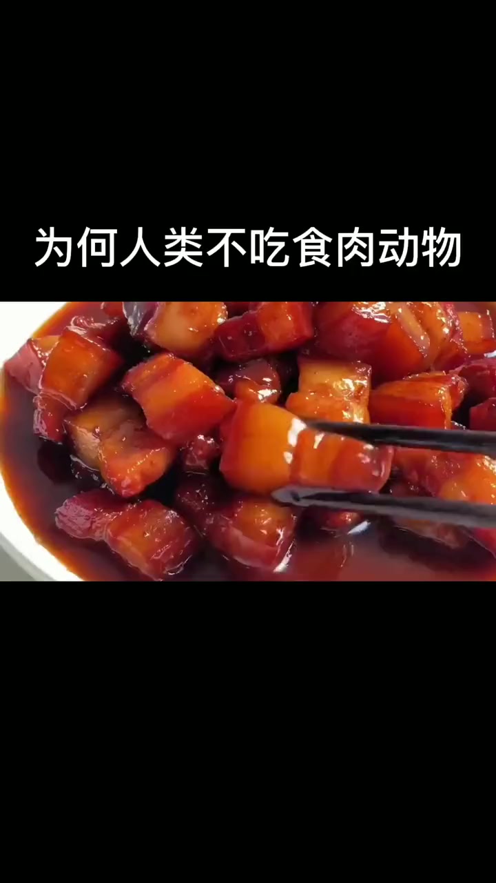 为何人类只吃食草动物,不吃食肉动物,能量转换是关键 食草动物 食肉动物 捕猎