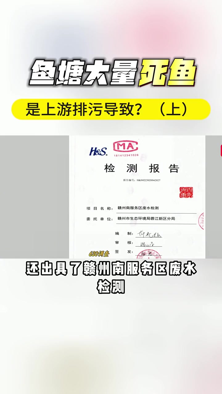 第1集|鱼塘大量死鱼,是上游排污导致?(上)