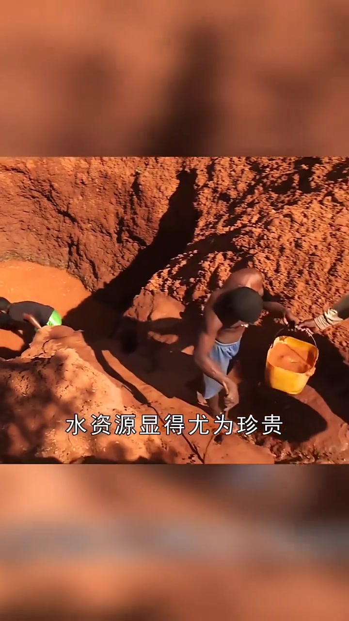 猴面包树寿命有5000年,能存水又能住人,为何我国引进后大变样?