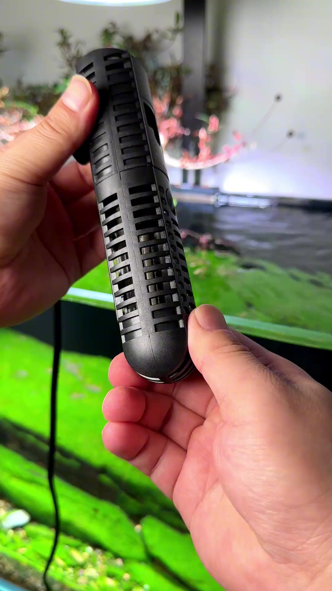 你的鱼缸加热棒能这么玩儿吗?离水就断电!观赏鱼 水族 水族器材 鱼缸加热棒 养鱼日记