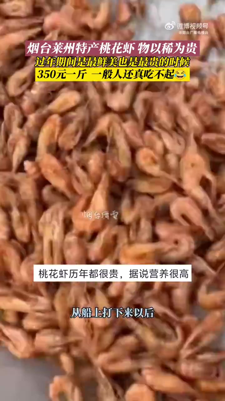 2月8日(采访时间)山东烟台。烟台莱州特产桃花虾,过年期间是最鲜美也是最贵的时候,你们吃过