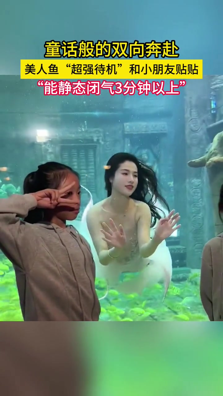 美人鱼和小朋友童话般的双向奔赴 美人鱼表演 海底世界