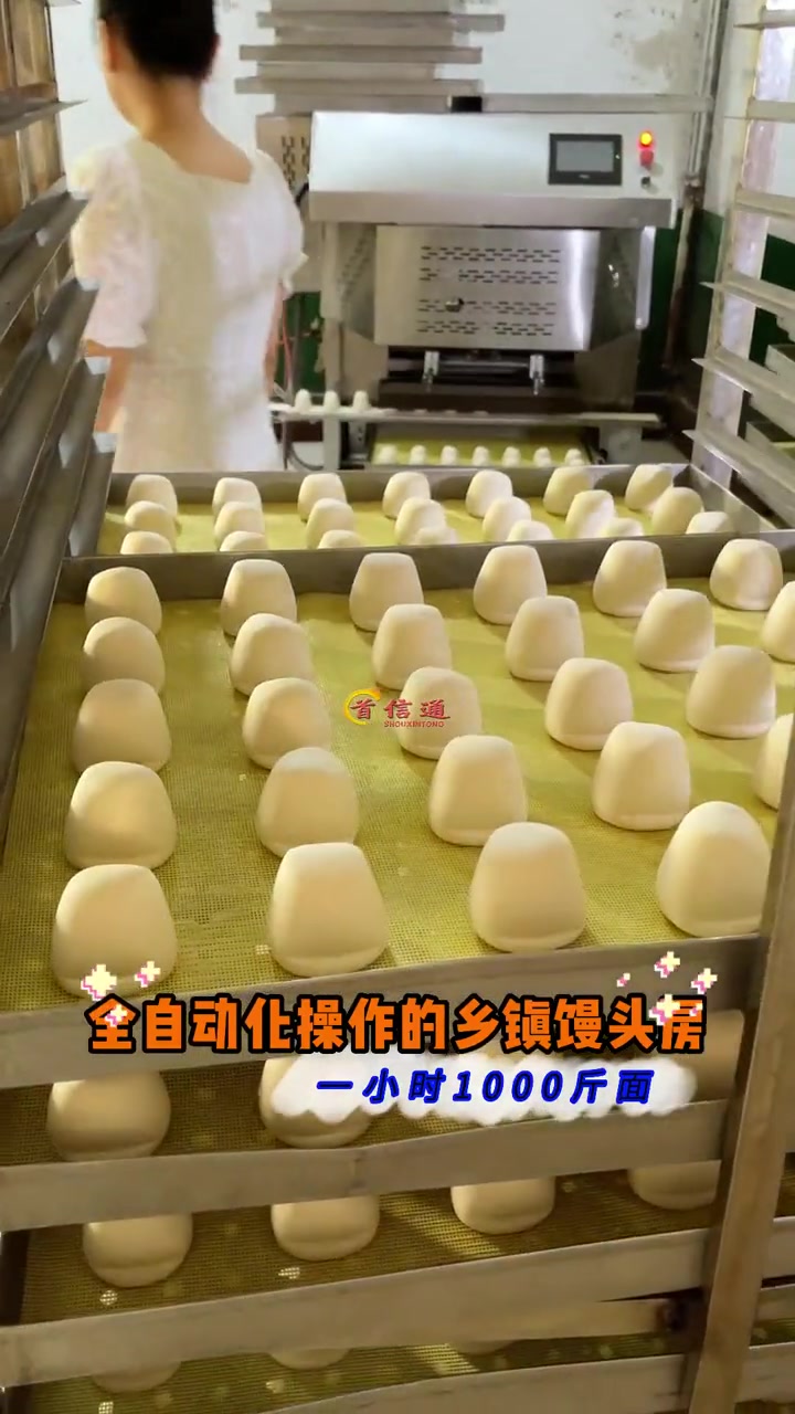 馒头生产线 馒头机 小本创业好项目 就在家开个千层馒头店 蒸馒头设备