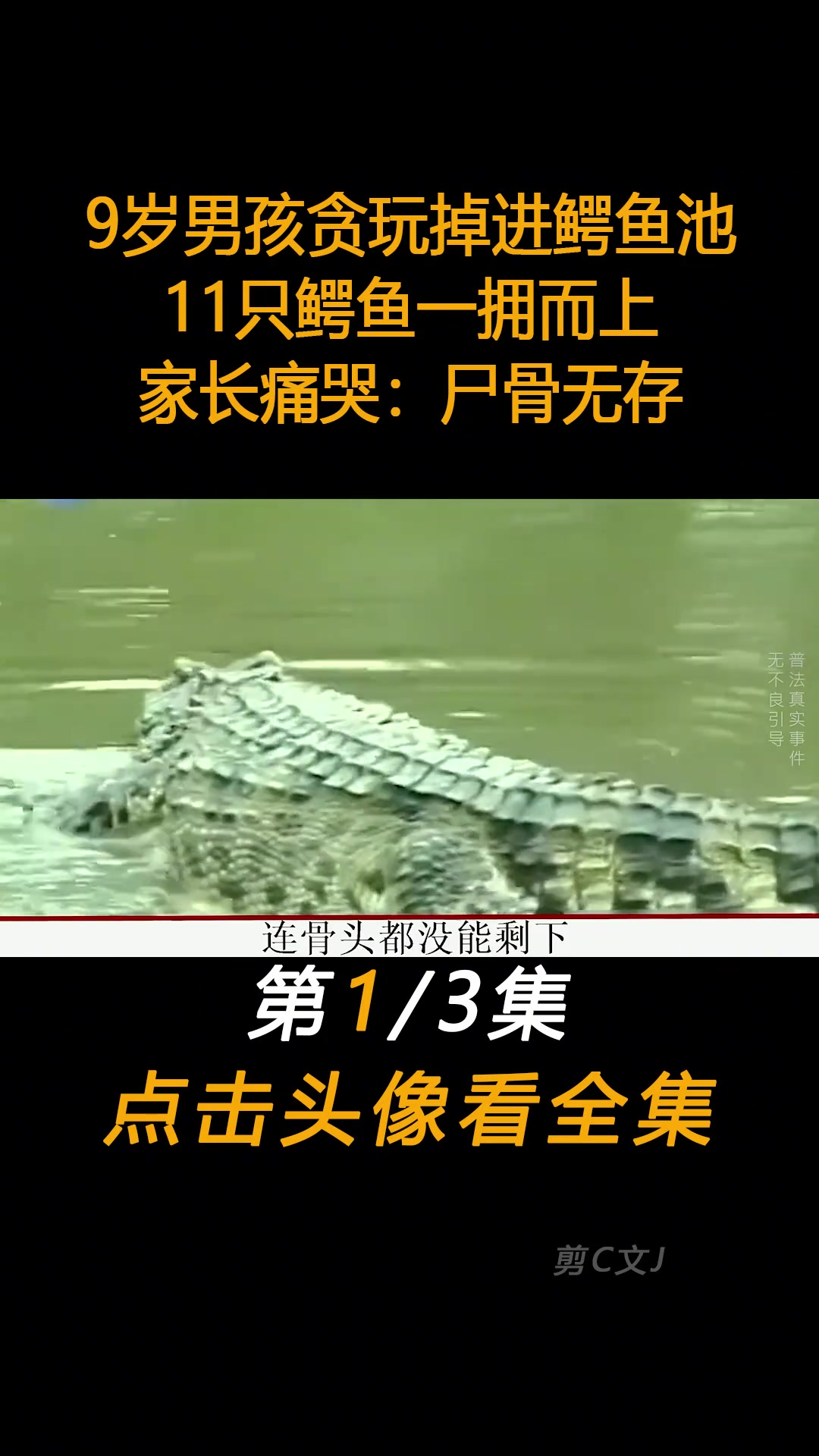 鳄鱼 孩子 真实事件