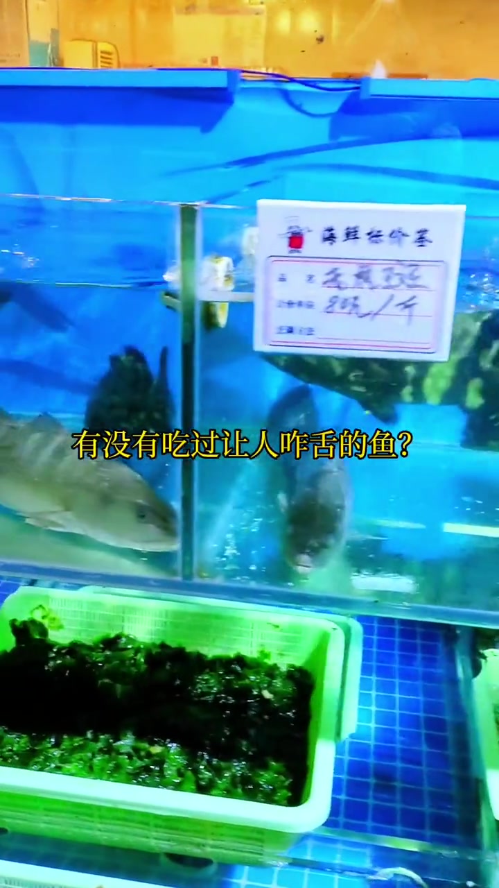 吃海鲜避坑攻略:某些饭店海鲜比较贵,特别不认识的深海鱼,饭店往往不说价格,含糊说不贵,结账