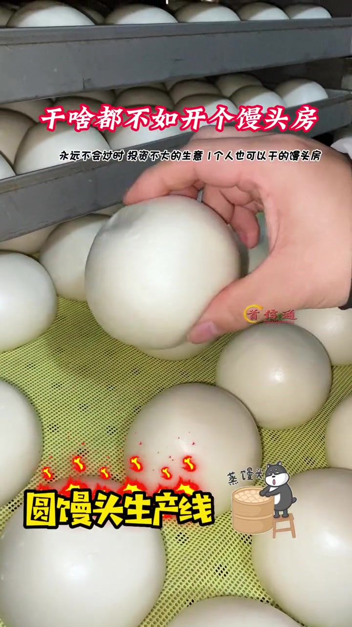 馒头机 全自动馒头机生产线 小本创业好项目 馒头生产线 蒸馒头设备