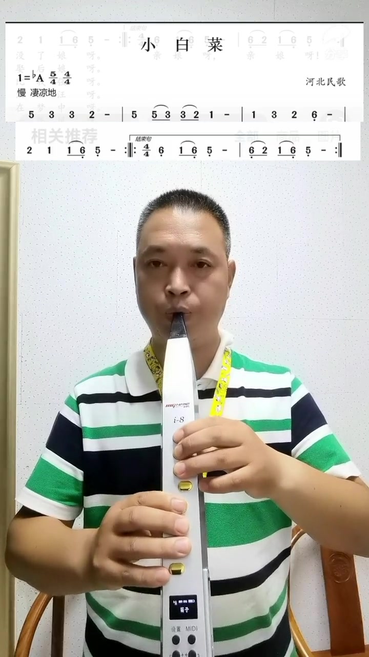 i8音搭档电吹管入门8《小白菜》