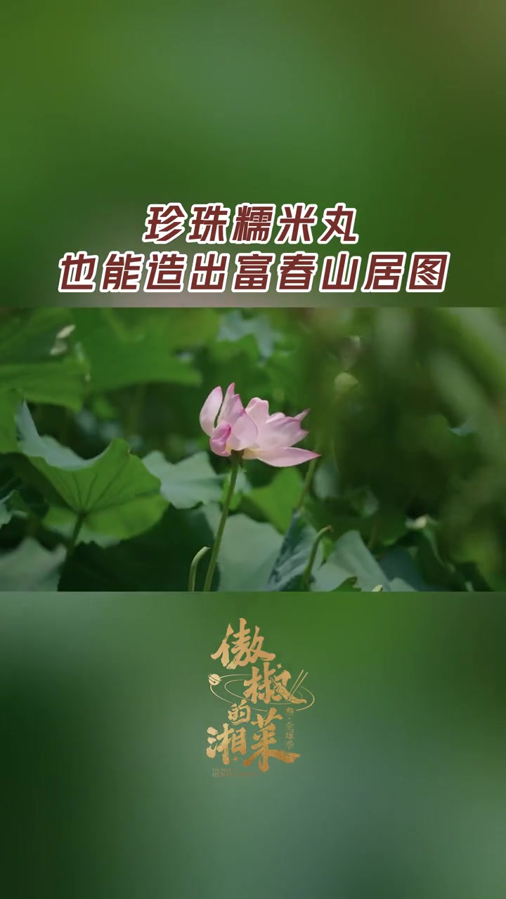 湘菜界有自己的传世名画 湘姐的餐厅,让你品尝到湘菜的细腻与雅致。这道珍珠糯米丸就都如同江南