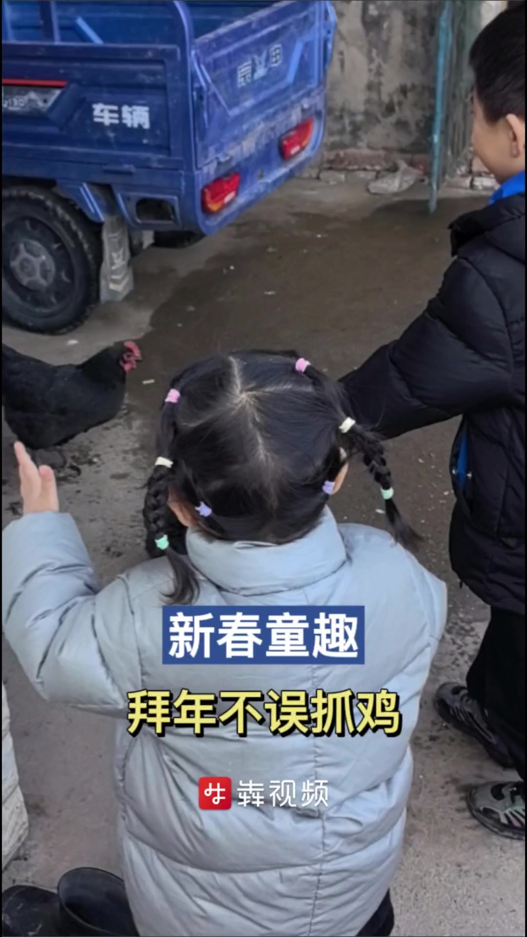 锦绣中国年丨新春童趣:拜年比不上抓鸡有吸引力