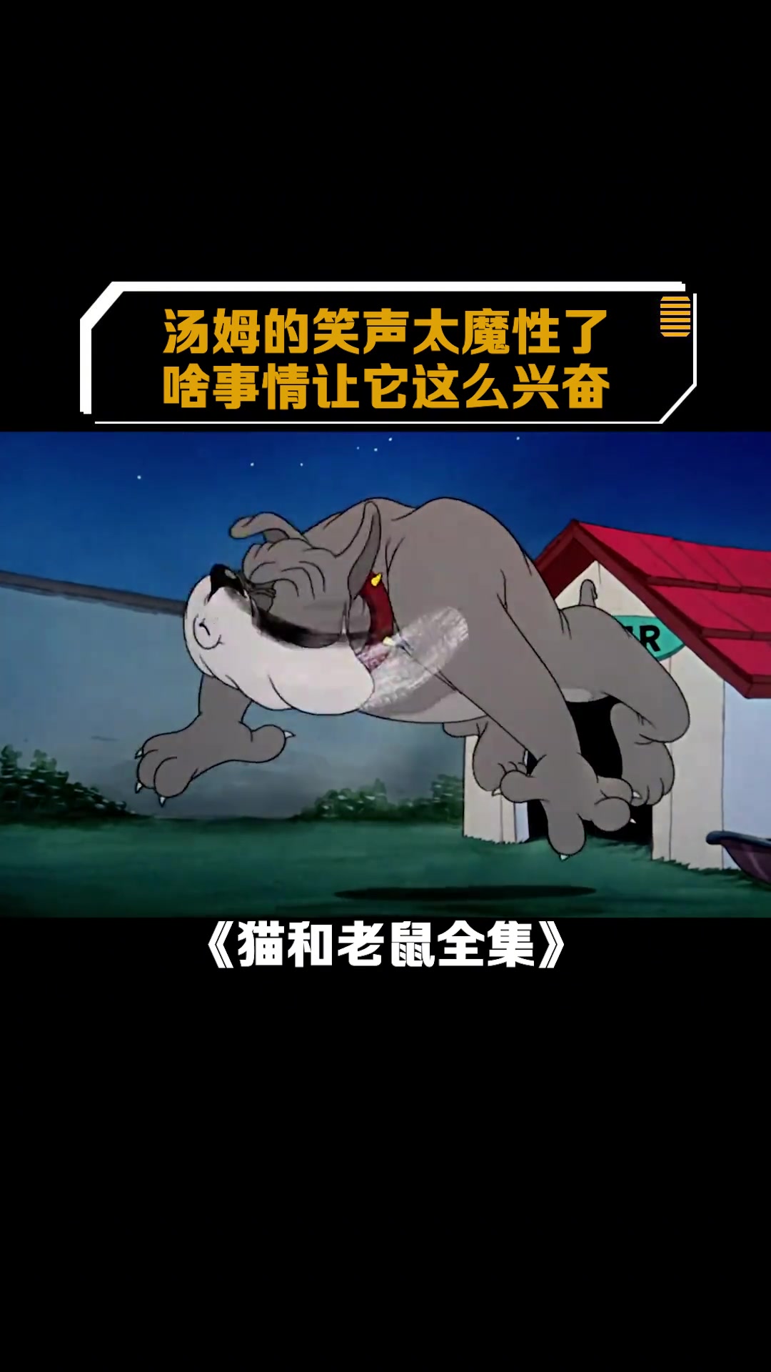 猫和老鼠全集:汤姆的笑声太魔性了啥事情让它这么兴奋