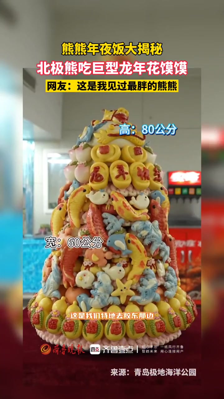 熊熊年夜饭大揭秘,北极熊吃巨型龙年花馍馍,网友:这是我见过最胖的熊熊 熊猫欢喜过春节 大熊