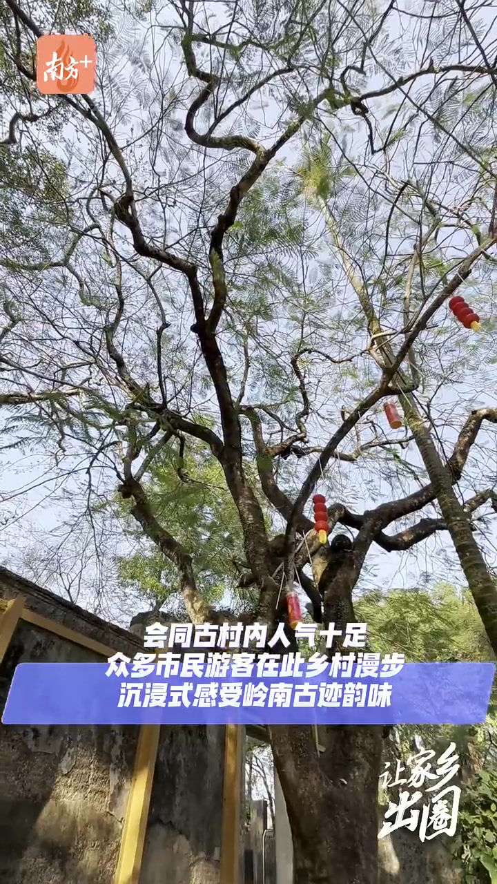 在珠海高新区的古村落,与春天合影|让家乡出圈