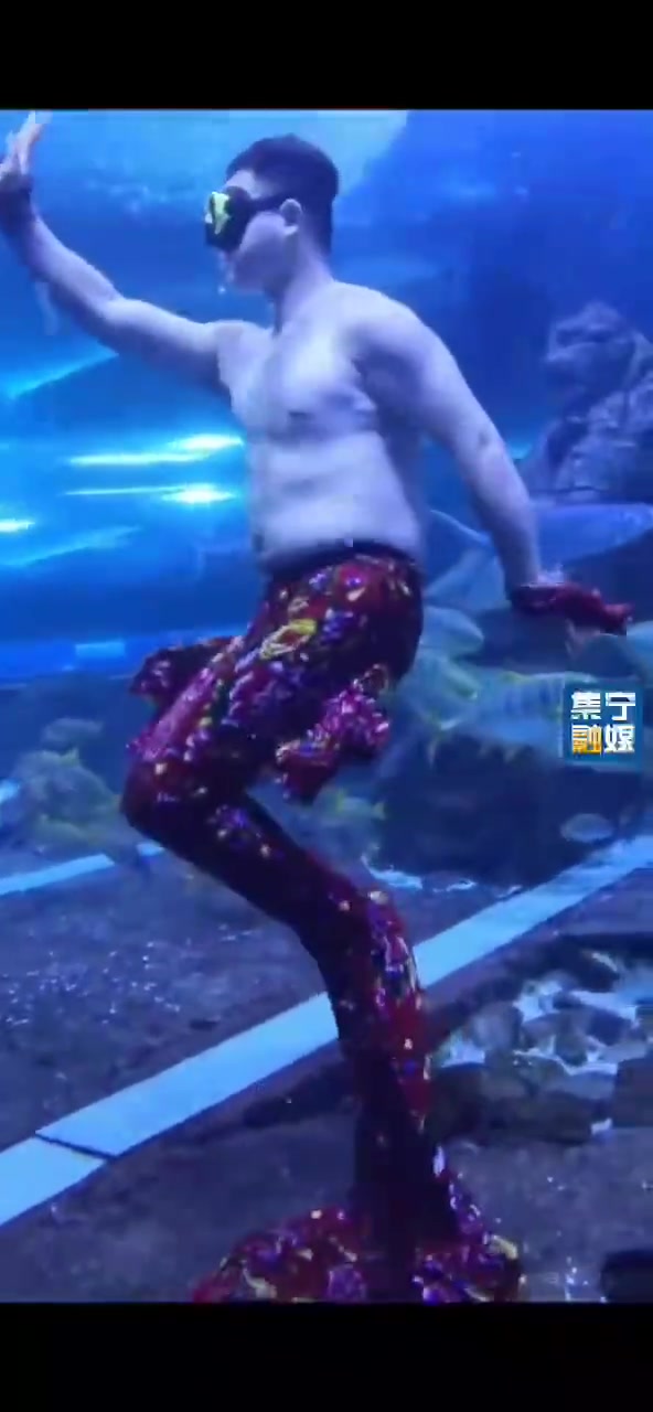 东北版男美人鱼反差感出圈 纯手绘版腹肌,网友锐评:男版美肚鲨?美人鱼