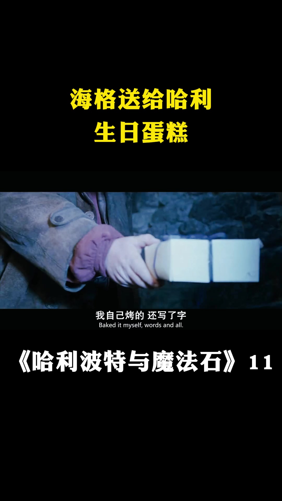 哈利波特与魔法石:海格送给哈利,生日蛋糕